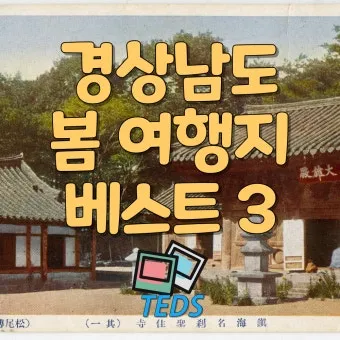경상도 봄여행 가볼만한곳 베스트 10 완벽 여행 가이드_19