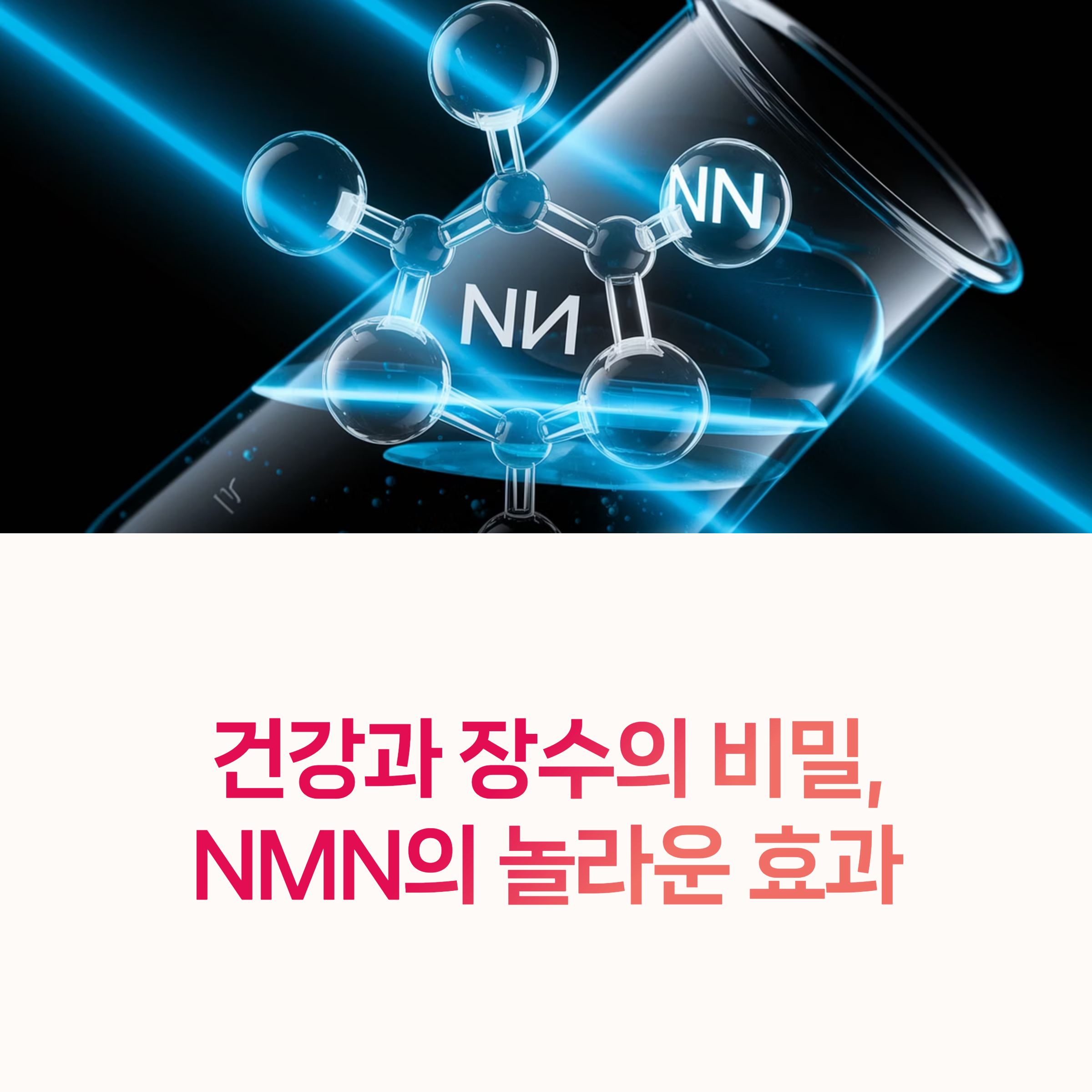 NMN, 노화방지,