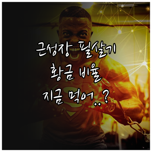 근성장 돕는 영양 성분 비율과 운동 ..