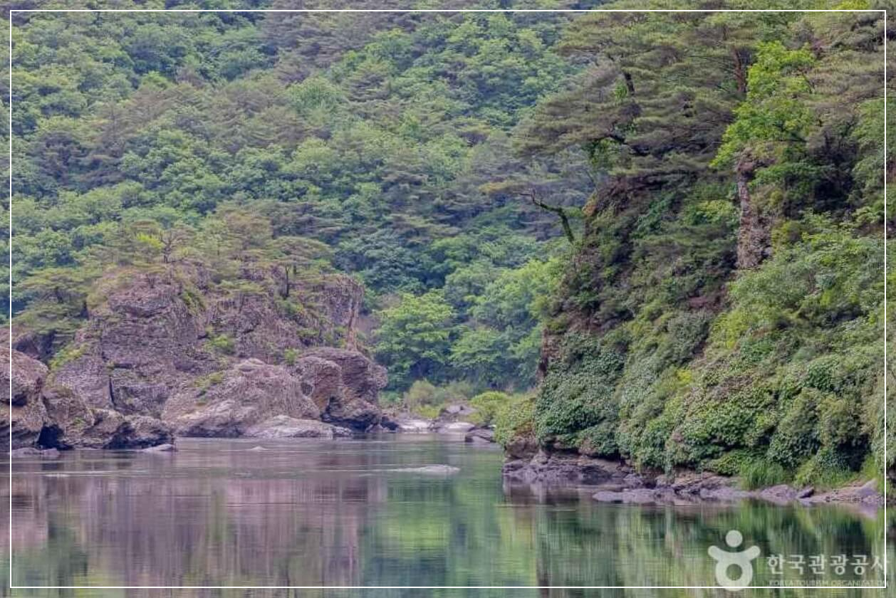 영월 가볼만한곳 베스트10 동강 무릉도원