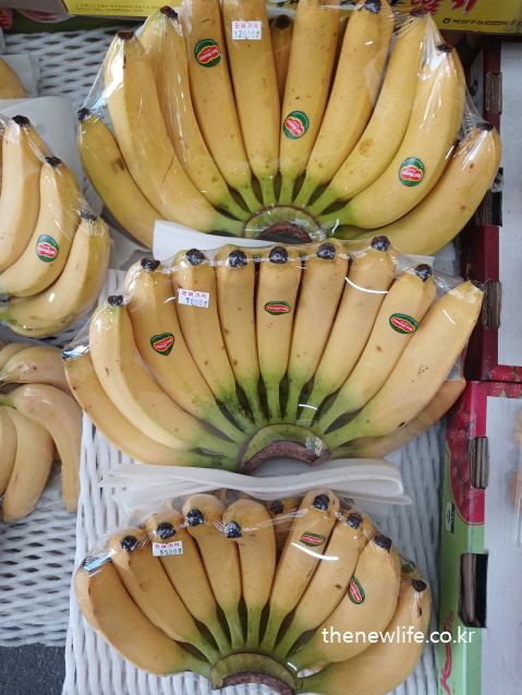 Bananas, helpful for reducing abdominal fat/복부비만에 좋은 바나나