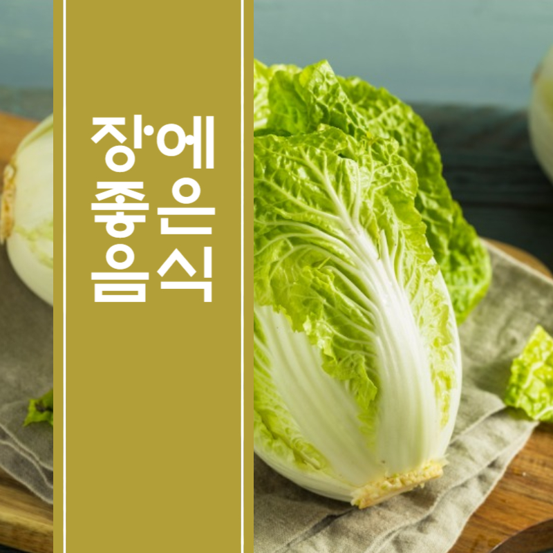 장에 좋은 음식