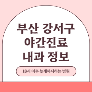 부산 강서구 야간진료 내과 병원 (18시 이후 늦게까지하는 병원)