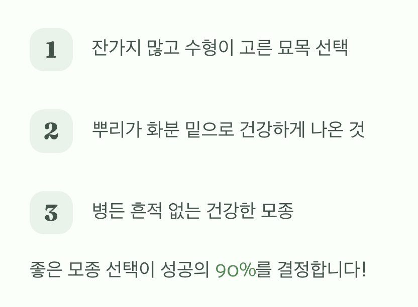 첫 단추가 중요해요, 튼튼한 모종 고르기