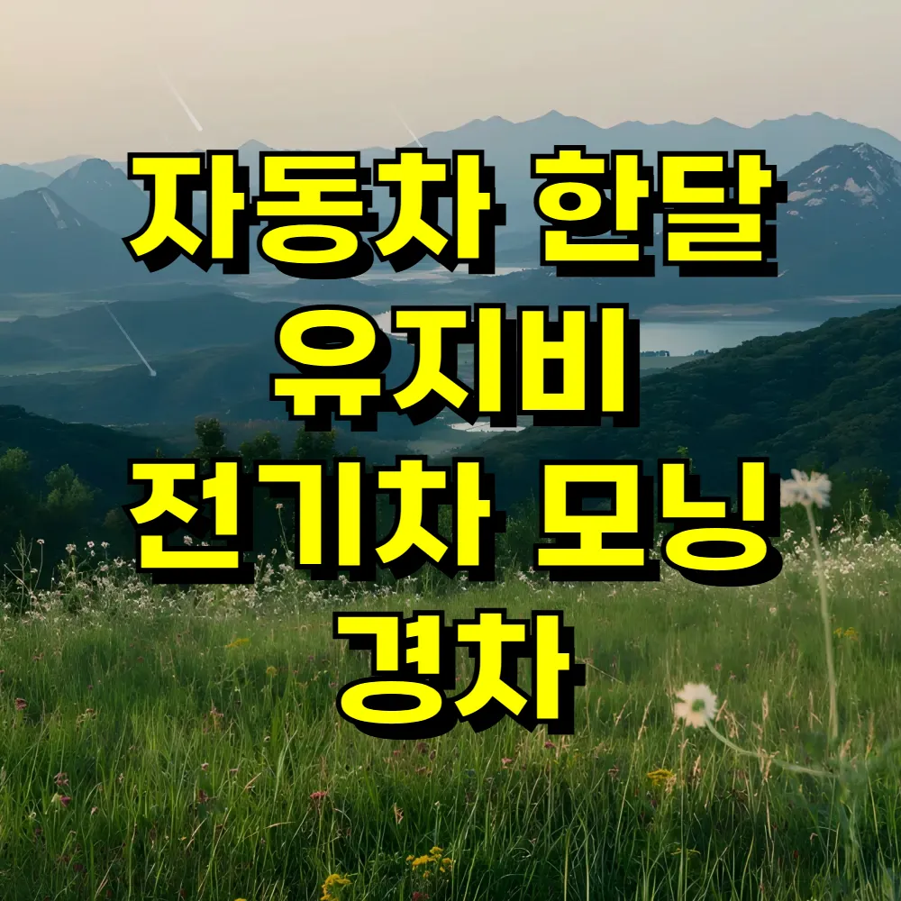 자동차 한달 유지비 전기차 모닝 경차