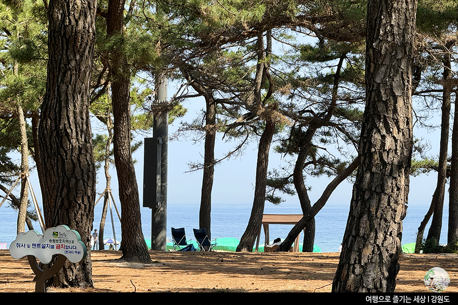 곳곳에 만들어진 벤치에 앉아 바다를 감상해봅니다.