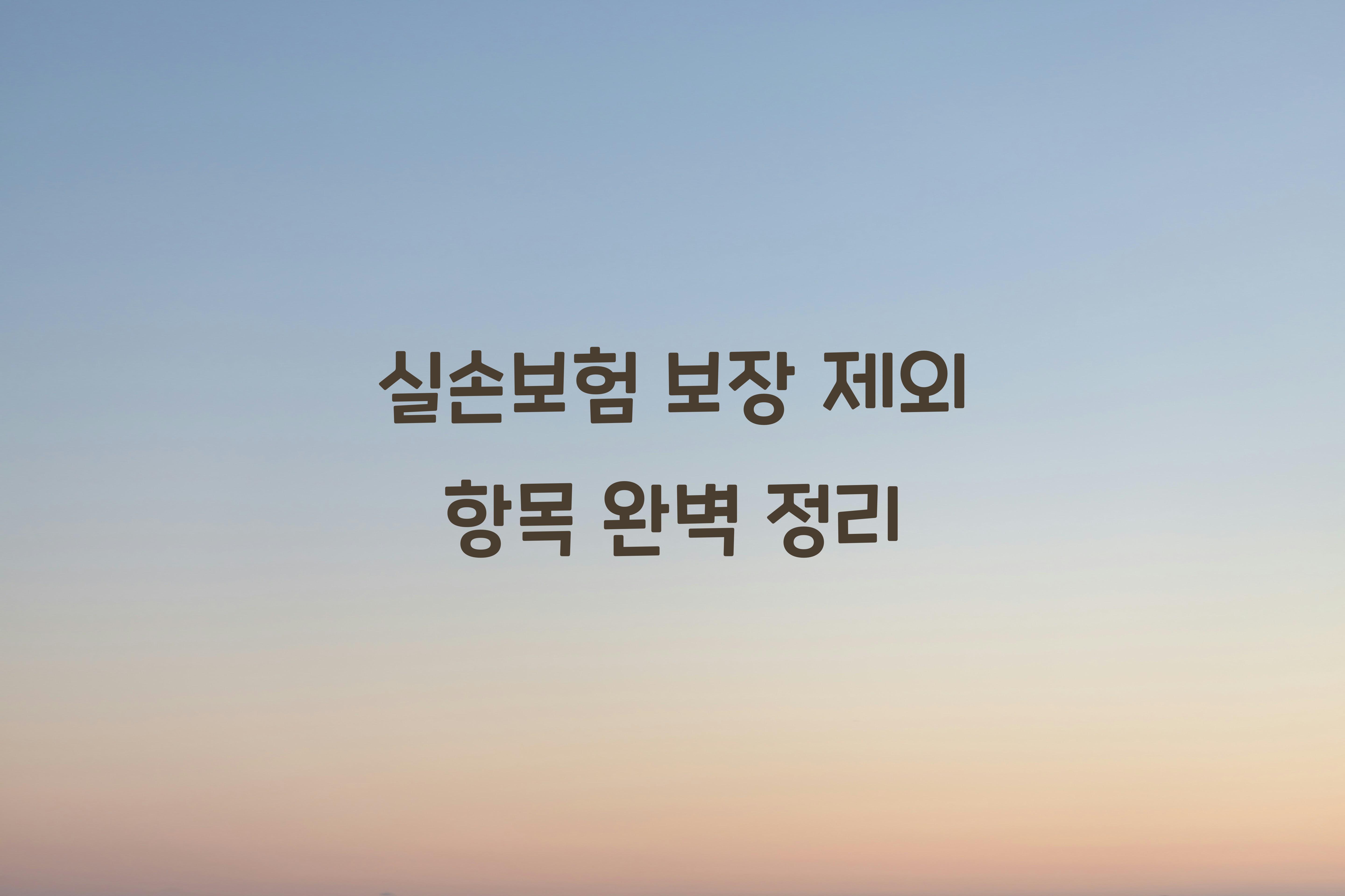 실손보험 보장 제외 항목