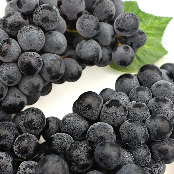 머루포도 효능키우기제철머루포도주 담그기먹는 방법보관 방법 안내_3