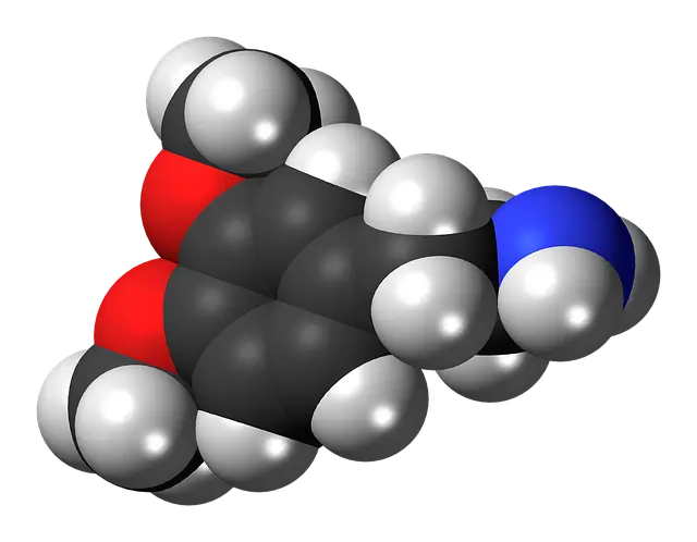 우리가 중독된 것은 ‘기름’이 아니라 ‘포도당’이었다 — 탄수화물 중독의 뇌 보상 구조
