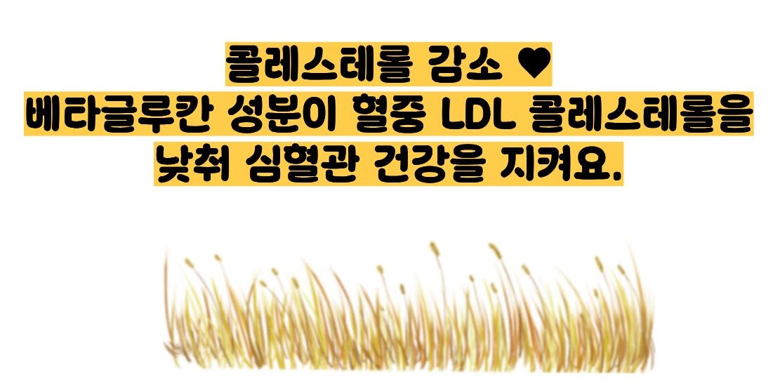 귀리 효능과 부작용