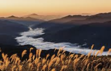 ENFJ 유형 특징 분석