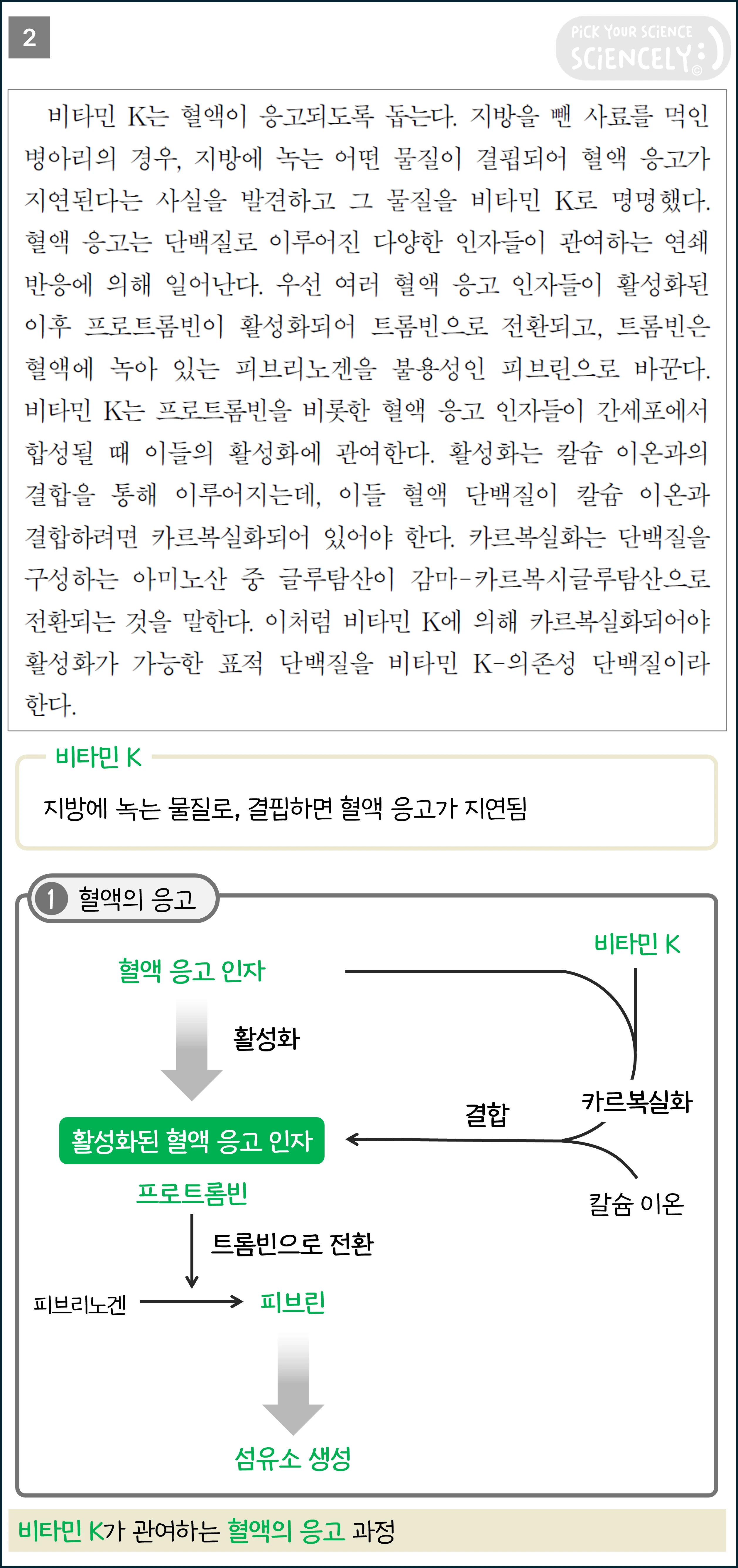 국어 독서 과학기술, 국어 비문학 과학기술, 23학년도 고3 6평 Q10-13, 혈병과 비타민K, 2문단