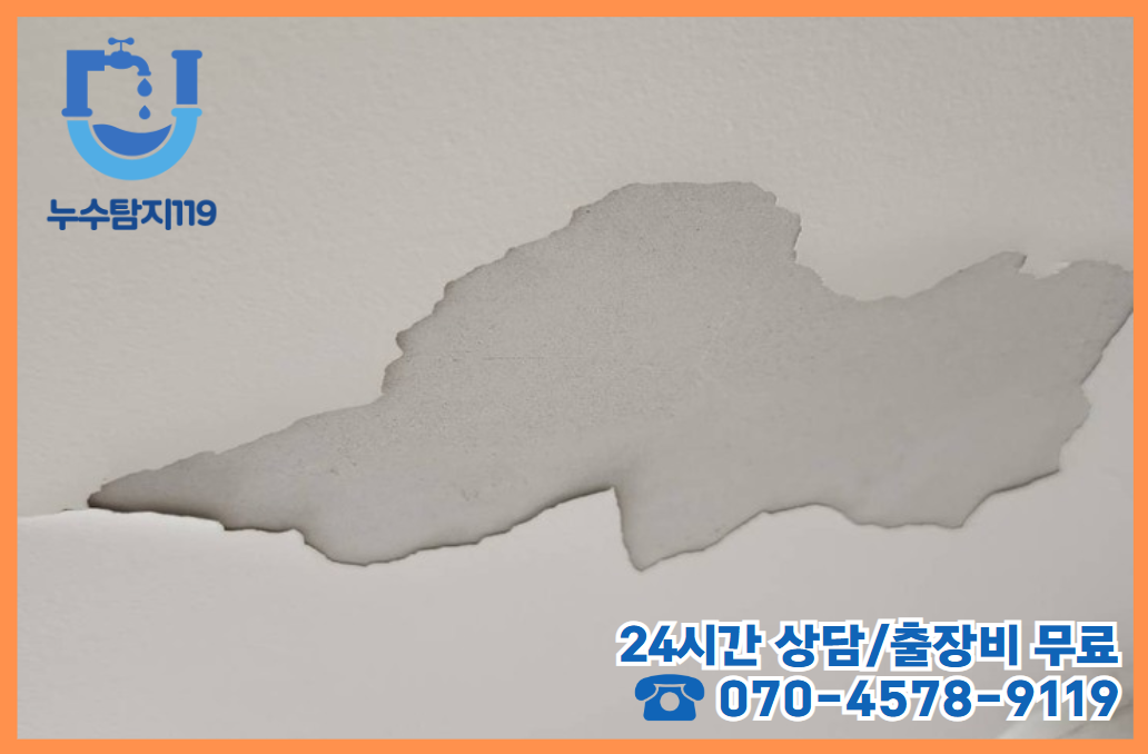 송촌동 아파트/빌라/상가건물2
