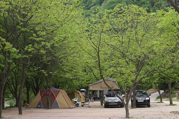 가평 '휴림펜션' 캠핑장 미리보기