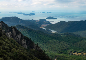 청와대 관람신청 주차장