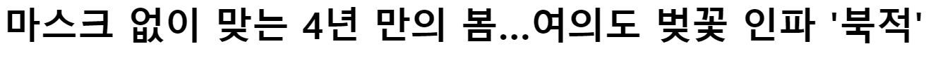 여의도 벚꽃 인파 마포 벚꽃 플레이스 경의선 숲길