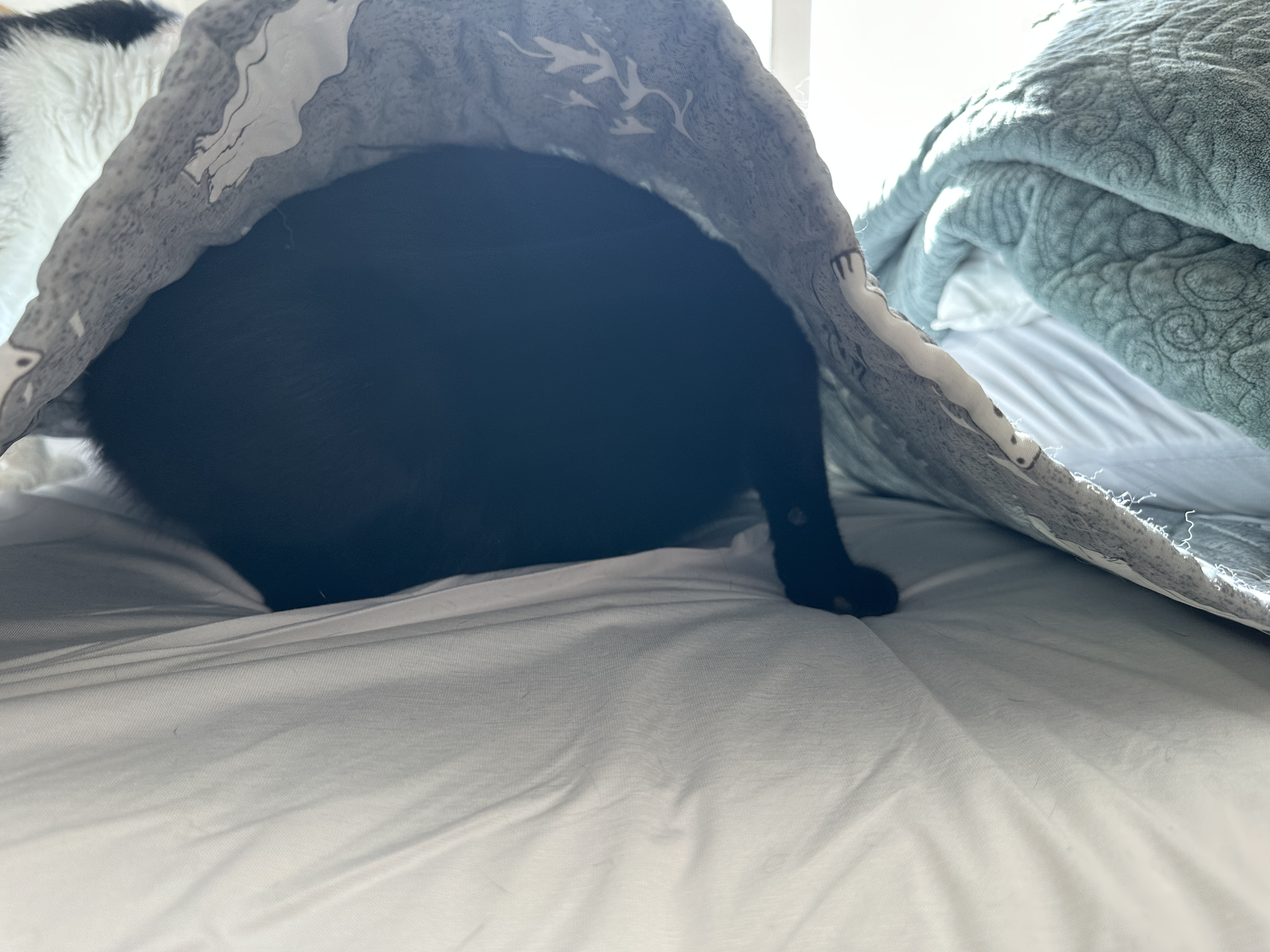 자꾸_나오라니까_더_깊이_들어가버리는_건이