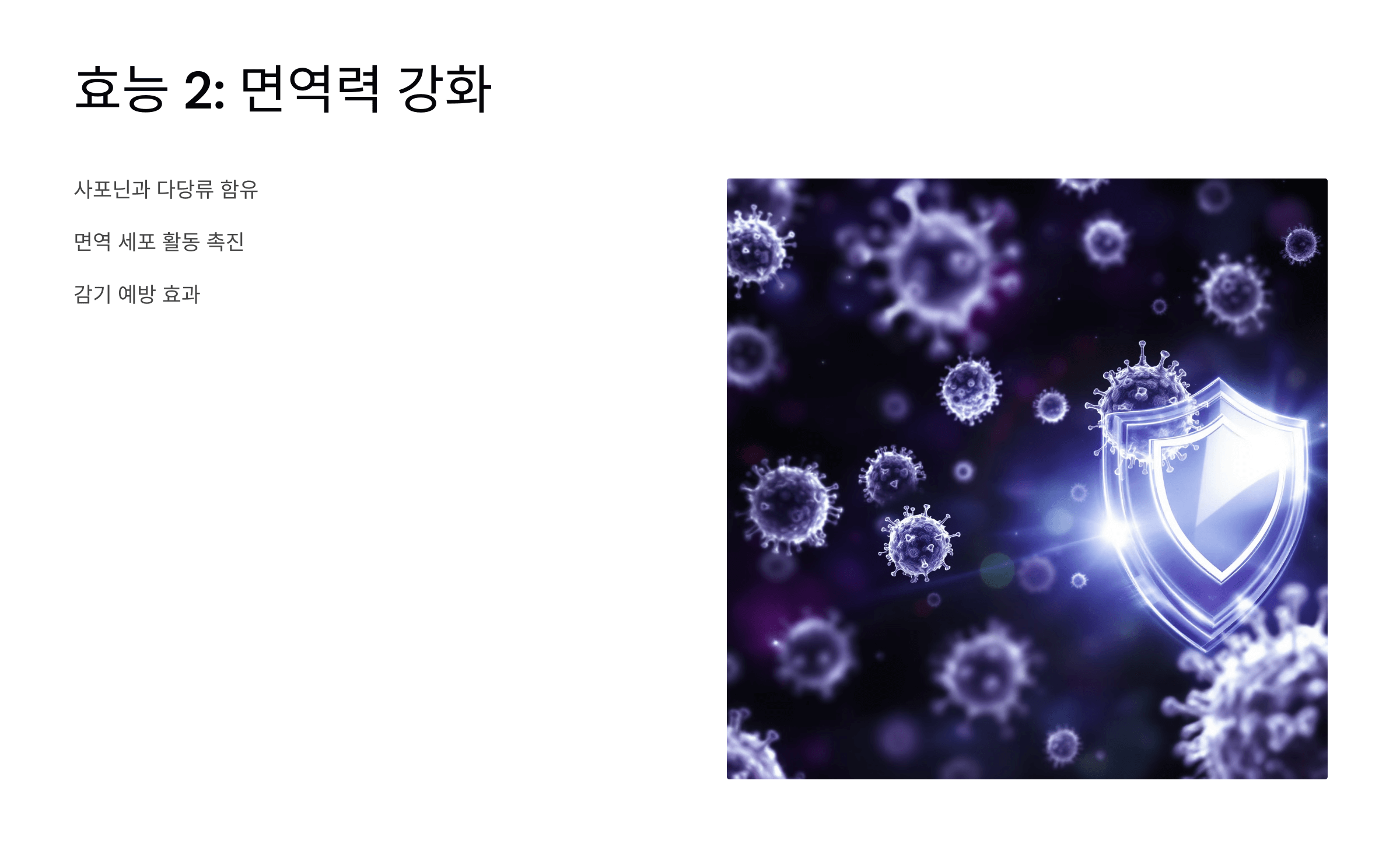 맥문동 사진입니다.