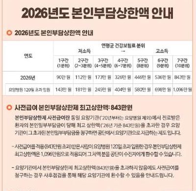 본인부담 상한제 소득분위 건보공단 2026년도 본인부담상한액 안내 화면