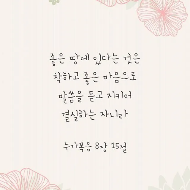 매일성경 묵상과 깨달음(누가복음 8장 1-15절) 씨 뿌리는 자의 비유 말씀_5