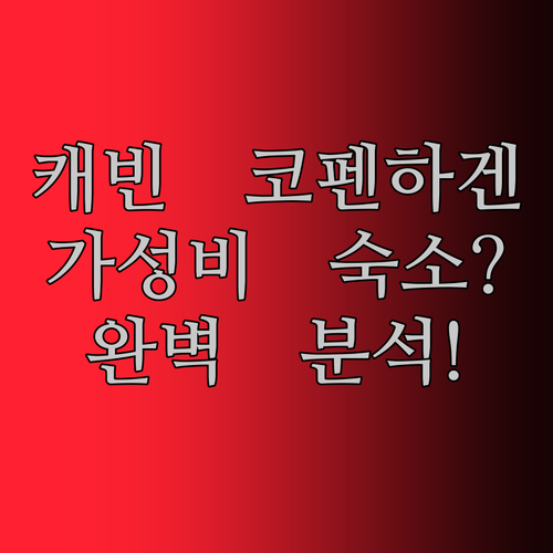 캐빈 코펜하겐 완벽 분석! 코펜하겐 