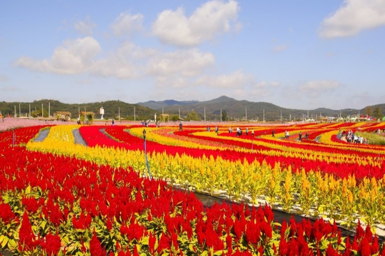 철원 고석정 주변 맛집 &amp; 카페 추천