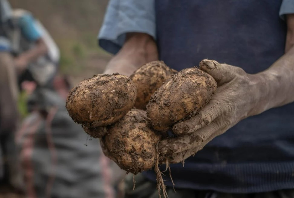 저소득층 에너지바우처 신청방법 완전정리 (2025년 최신)
