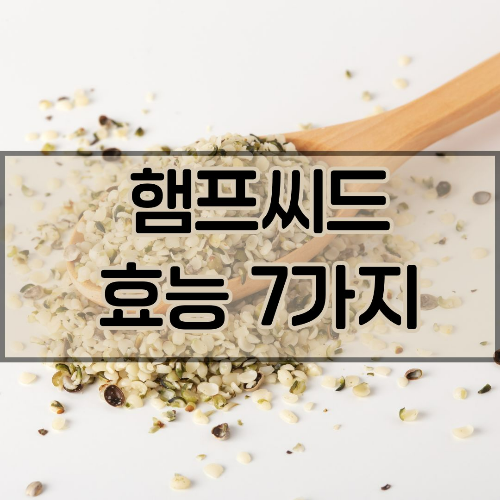 햄프씨드 효능