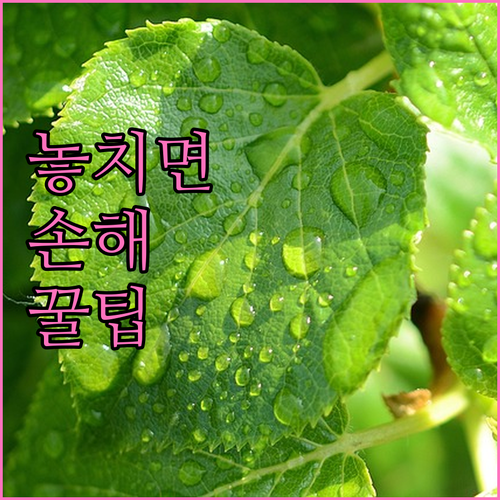 대형폐기물 배출필증 없으면 안돼! 중..