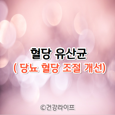 혈당 유산균 (당뇨 혈당 조절 개선)