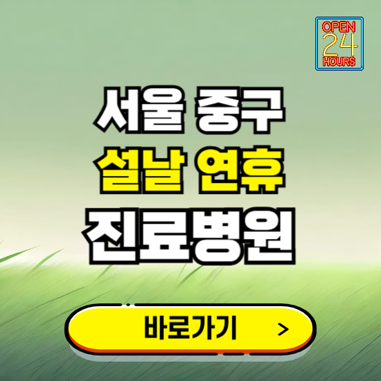 서울 중구 설날 연휴 진료병원 찾기 ❘ 24시 응급 야간 심야 문여는 병원