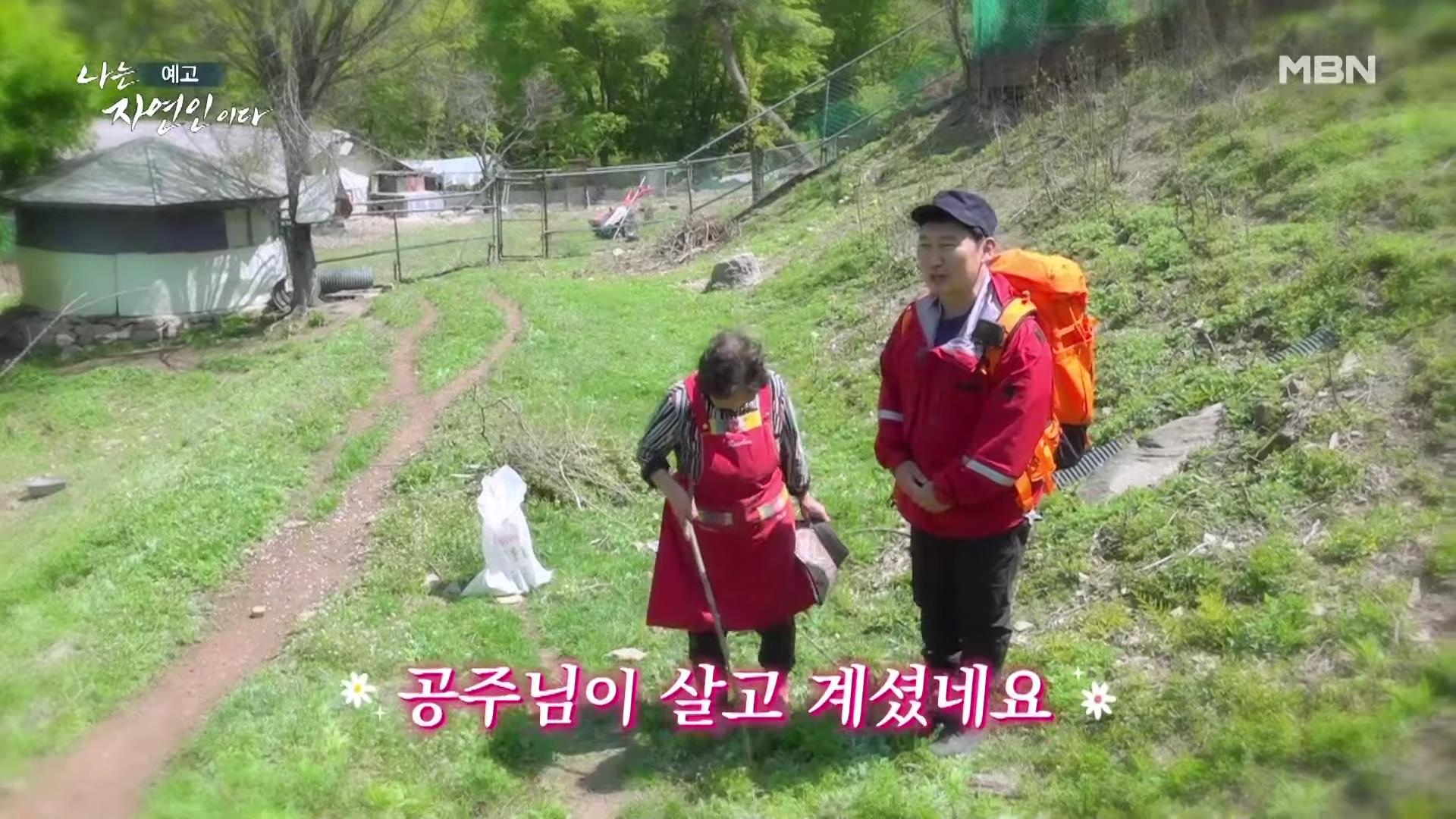 나는 자연인이다 쓰러진 막내딸 기적 만든 후 이젠 천국 떠나보낸 고마워요 엄마 자연인 구자순 소개 및 이승윤 출연 554회 다시보기