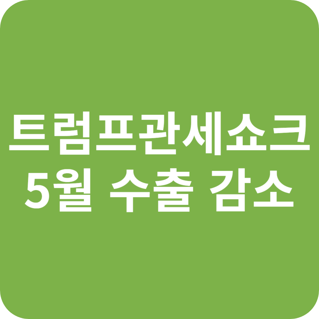 트럼프 관세 쇼크, 5월 수출 감소