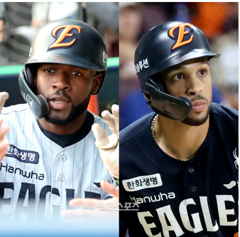 한화 이글스 플로리얼 vs 리베라토