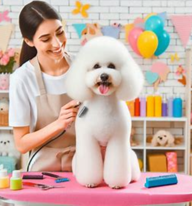 🐶 강아지 미용 종류 완전 정복! 우리 강아지에게 딱 맞는 스타일은? 🐾
