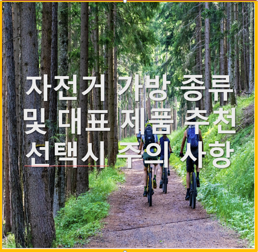 자전거 종류, 데표 제품 추천