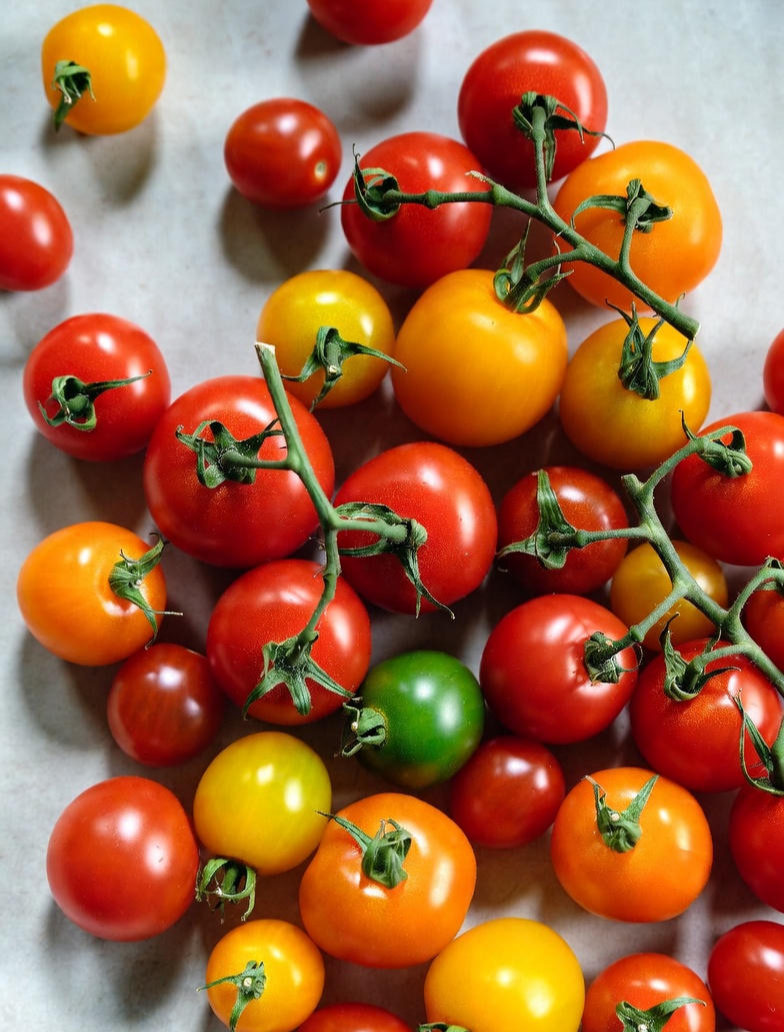 뉴트리코어 코엔자임Q10