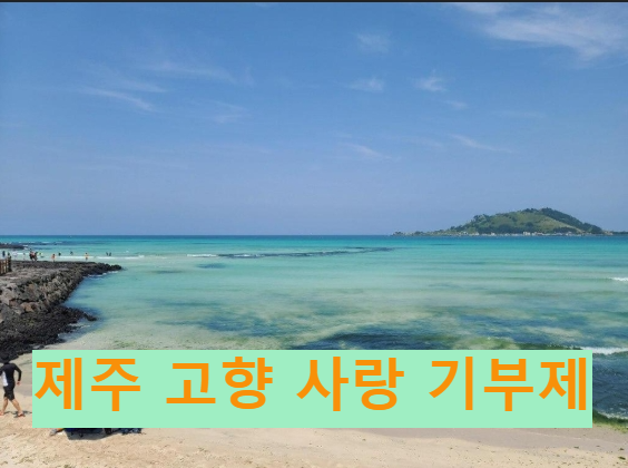 2025 제주 고향사랑기부제 답례품 리스트 총정리|최신 업데이트 안내