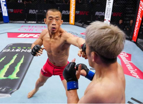 UFC 325