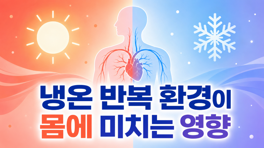 냉온 반복 환경이 몸에 미치는 영향: 혈관, 면역, 피로 회복의 진실