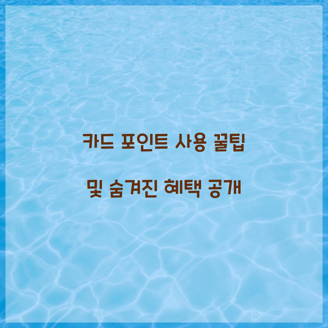 카드 포인트 사용