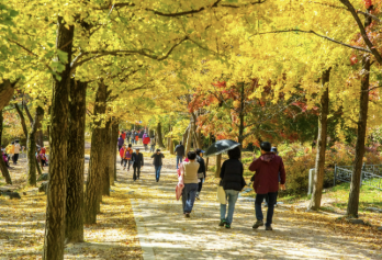 대한민국 숙박세일 페스타 꿀정보 모음