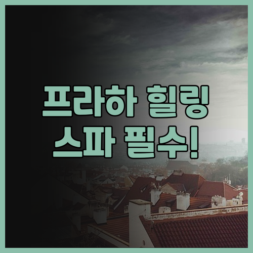 프라하 센터 플라자 후기! 스파와 넓..