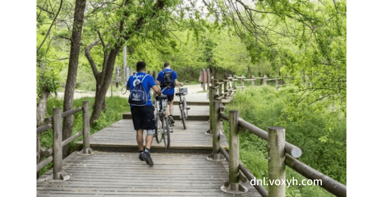 서울숲 자전거 타기