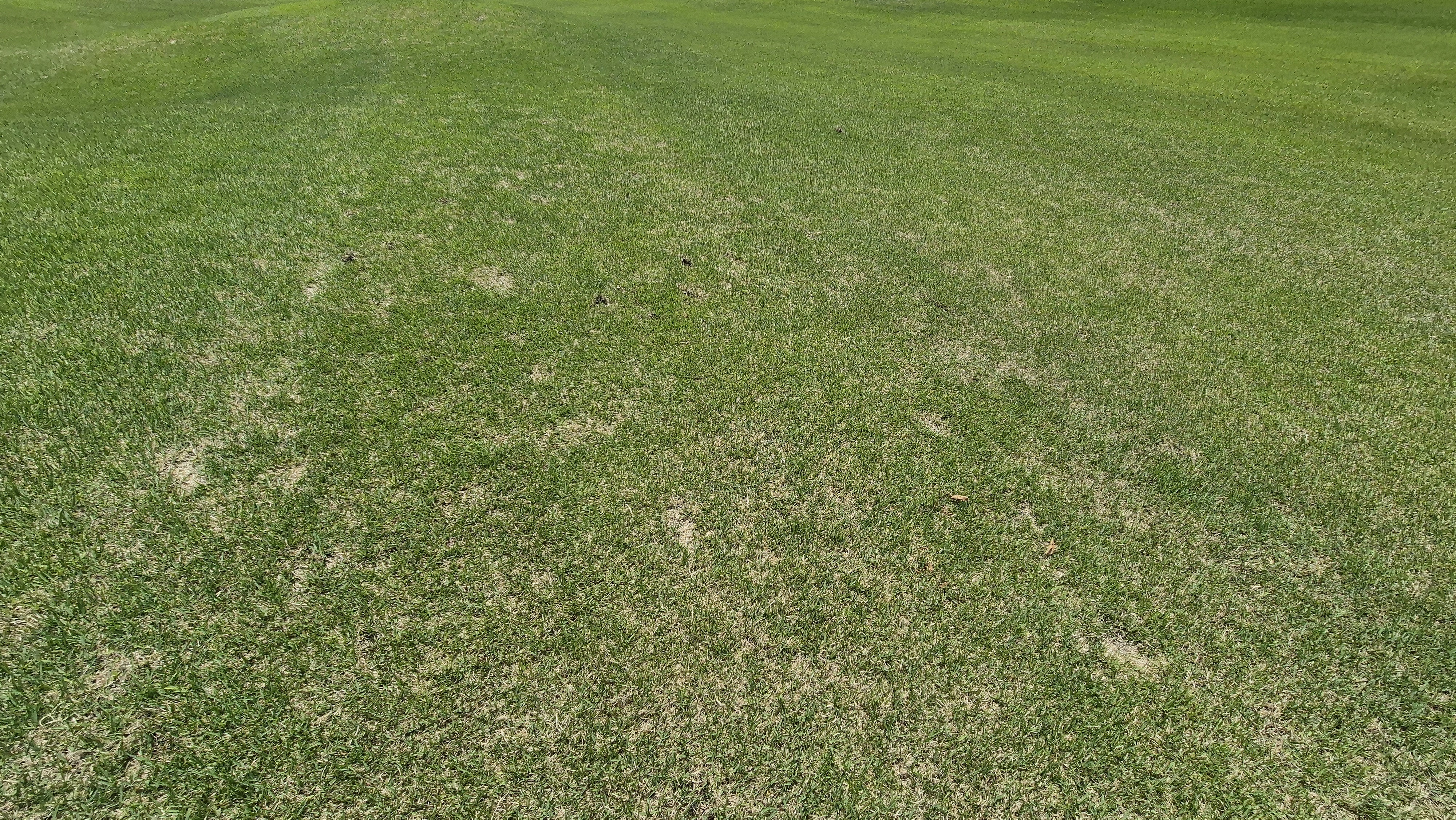 파크밸리gc 라운드 후기