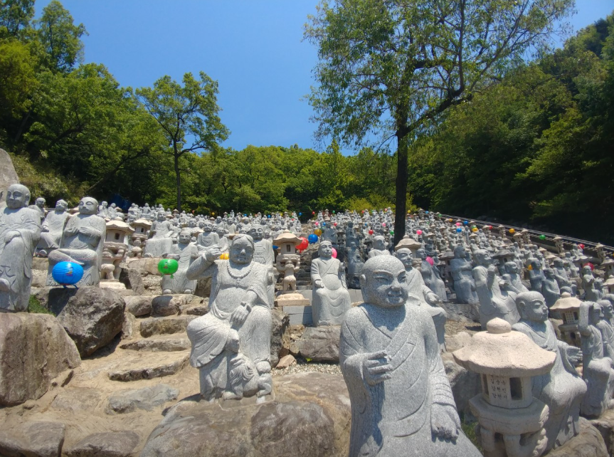 창원편백치유의숲4