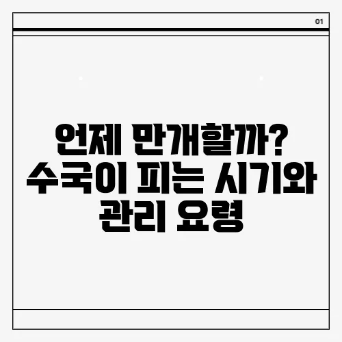 언제 만개할까? 수국이 피는 시기와 관리 요령
