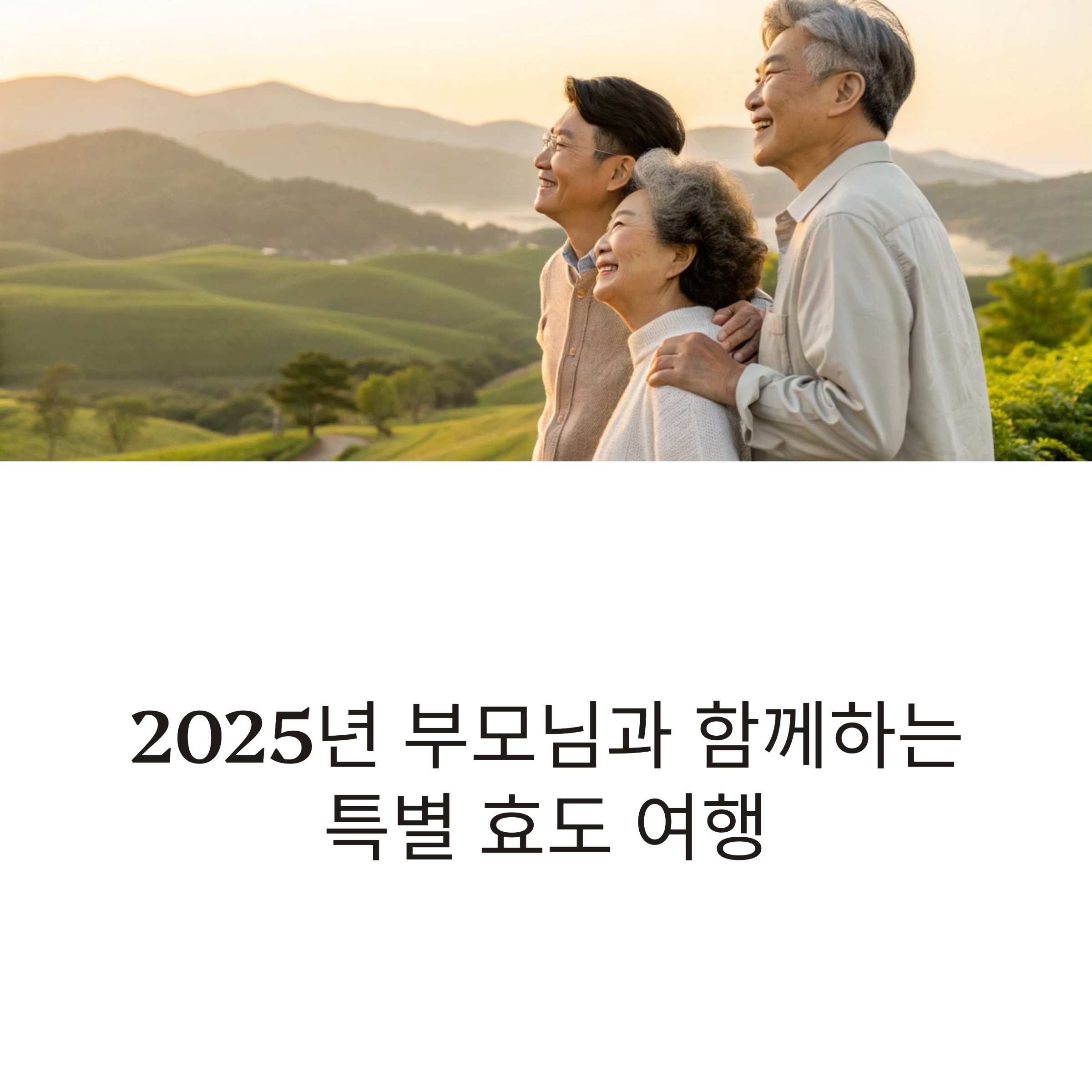 부모님과 특별 효도 여행 추천