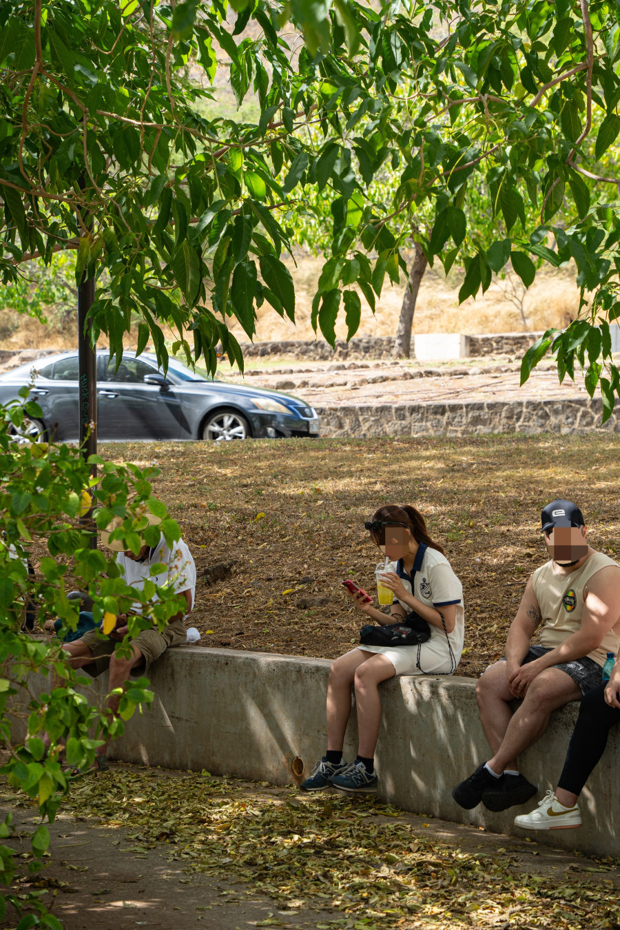 하와이 KCC 파머스 마켓