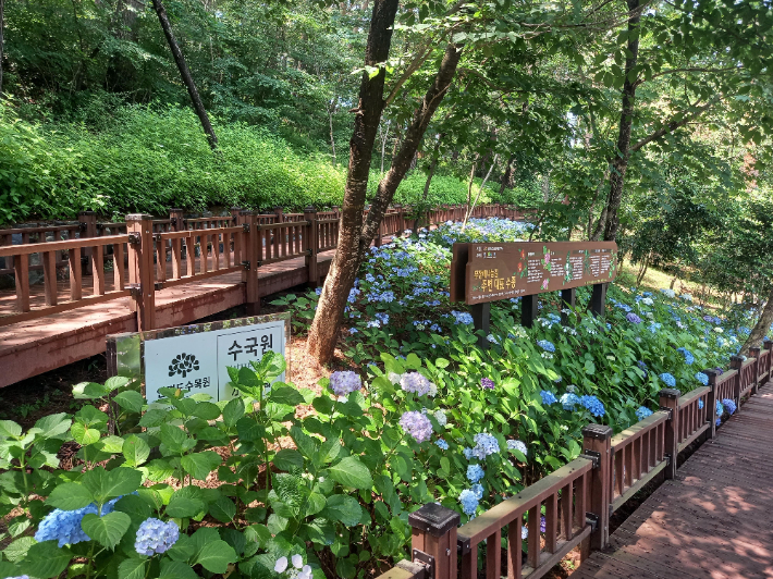 안면도수목원 가이드 : 입장료 할인부터 예약까지